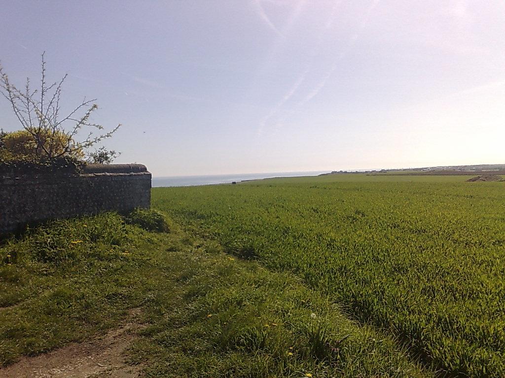 Seaview Cottage Bacton (Norfolk) Exterior foto